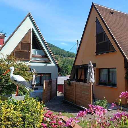 Gite Pinot Gris Et Gite Pinot Blanc Kaysersberg-Vignoble Екстериор снимка